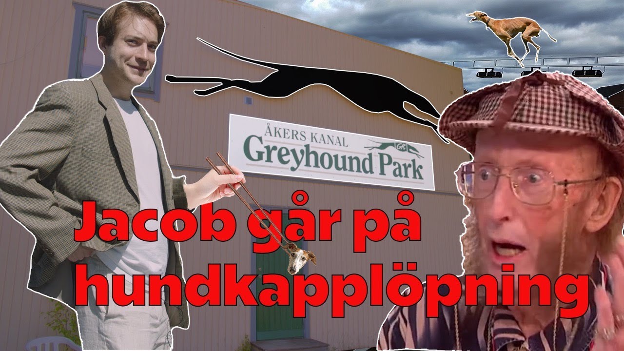 Jacob på hundkapplöpning | 