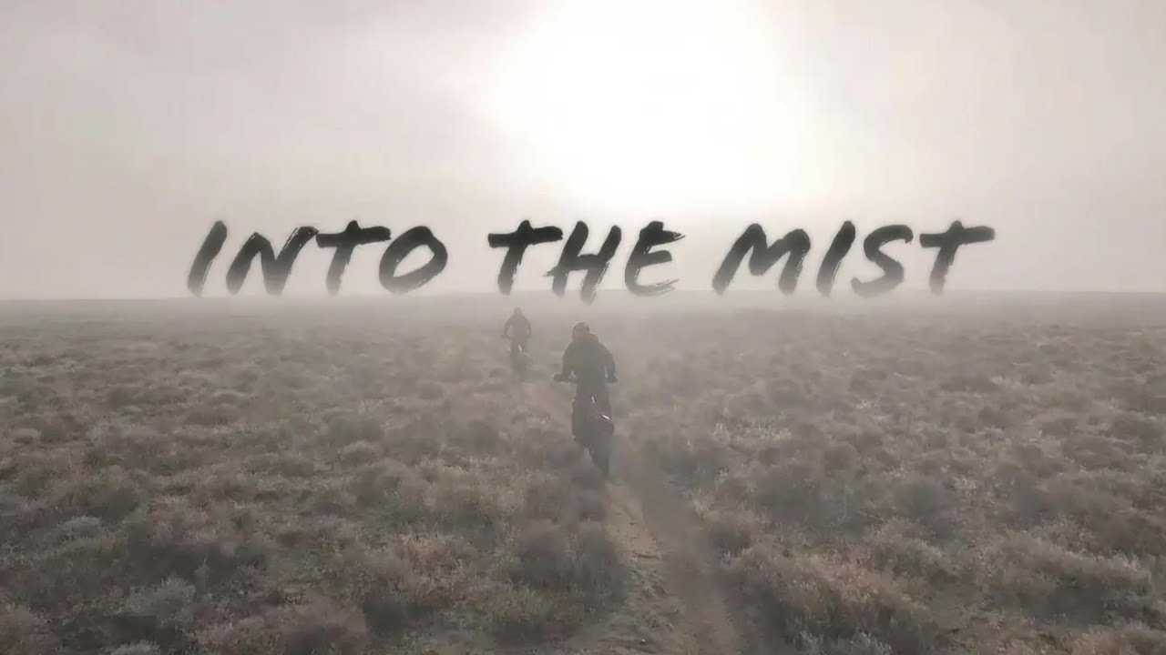 INTO THE MIST