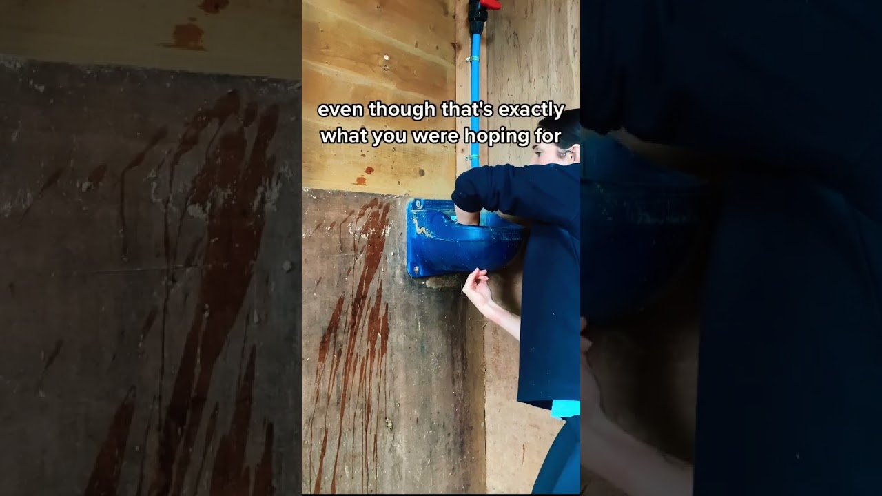 Deep cleaning the stables for winter PT 1 #equestrianlife #horsecare #stables