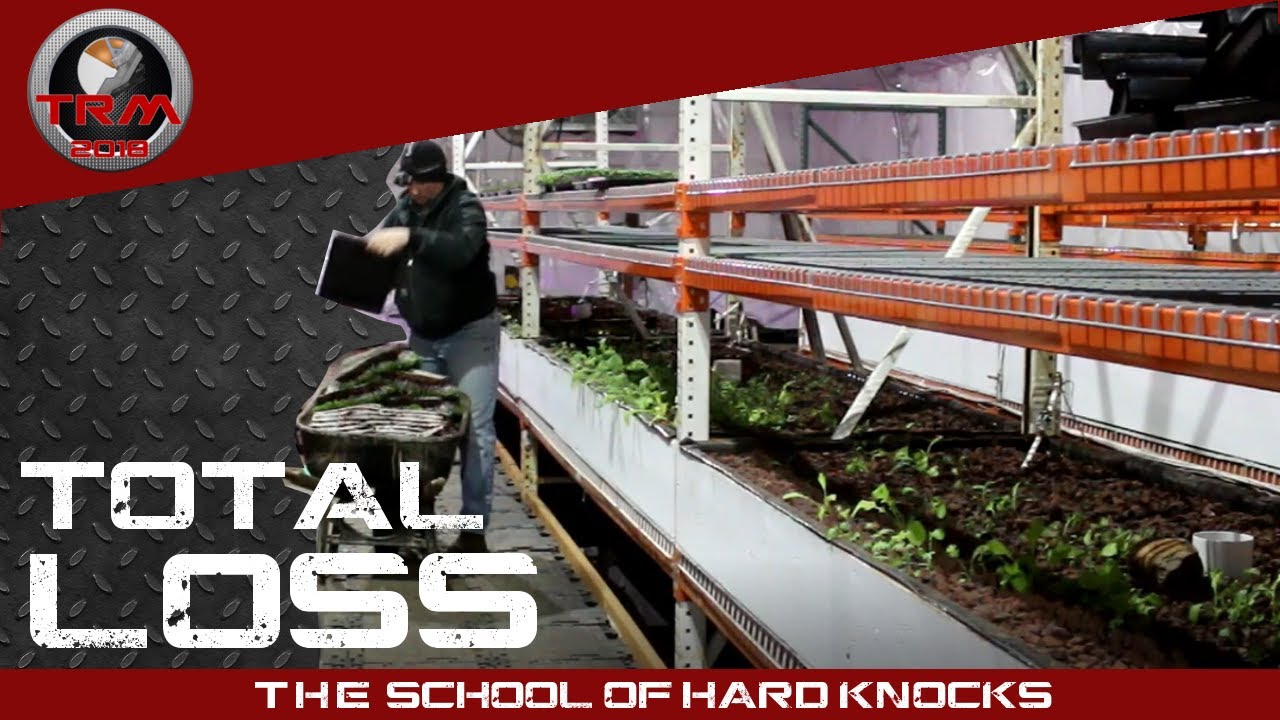 WE LOST EVERYTHING...Microgreens!
