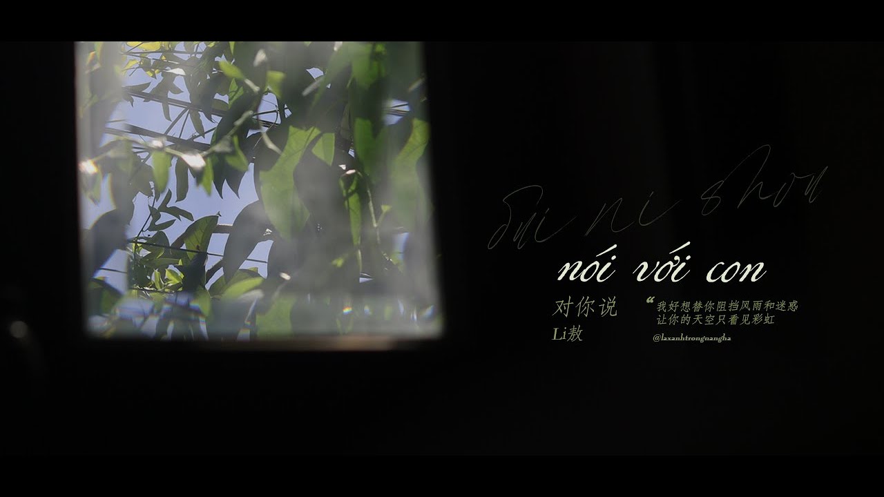 【Vietsub+Pinyin】N&Oacute;I VỚI CON (对你说) - Li Ngạo (Li敖)