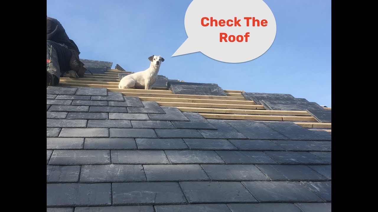 What To Look Out For When Buying An Investment Property [Roof Problems]