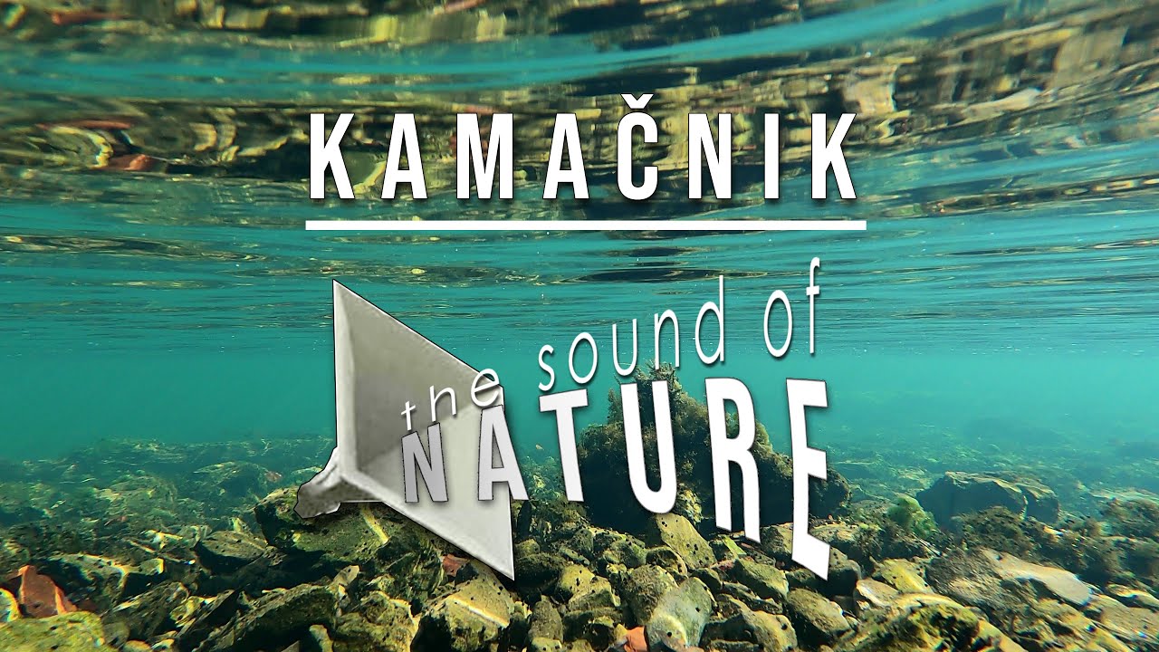 Kamacnik - the sound of nature - OSM
