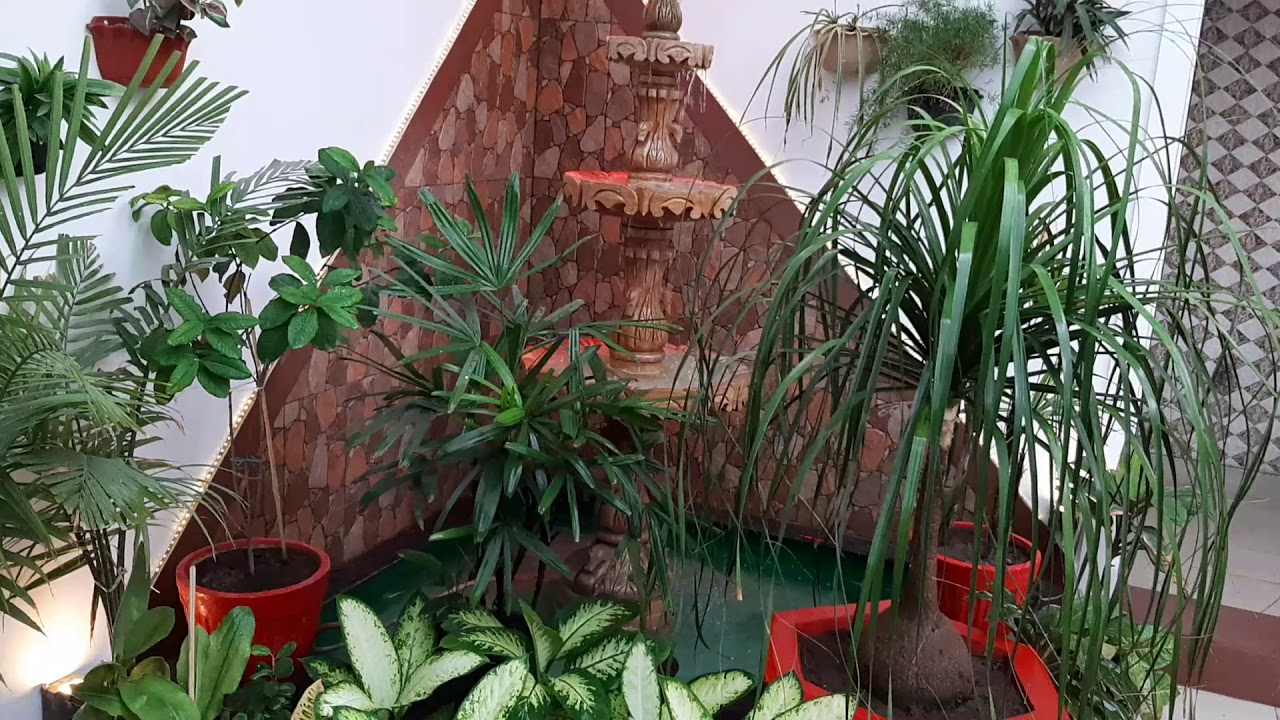 Indoor plantation