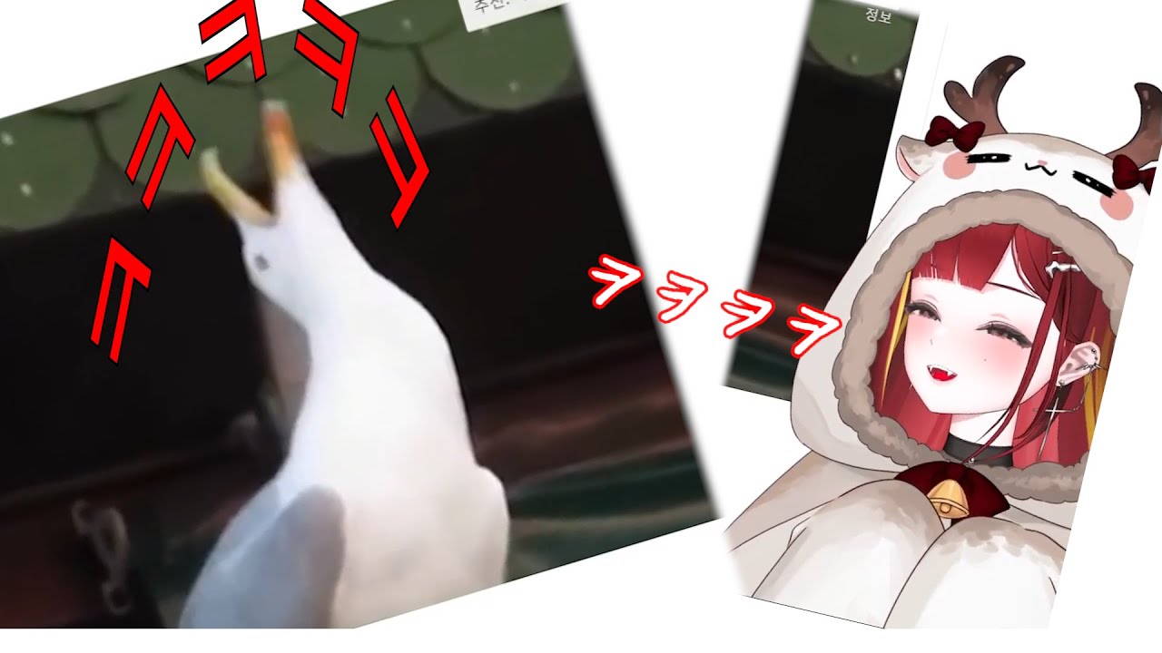 [리제] 느엥 갈매기제를 보는 리제