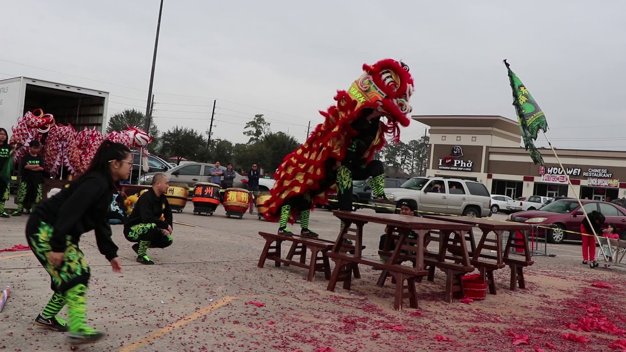 Teo Chew Houston Lion Dance FULL SHOW TCT