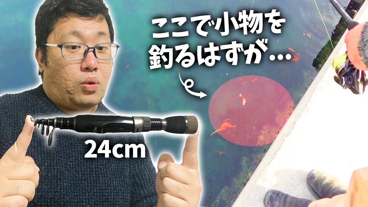 手のひらサイズ！24cmのコンパクトロッドで小物釣りをしようとしたら…【トラギア ポケビッツ】