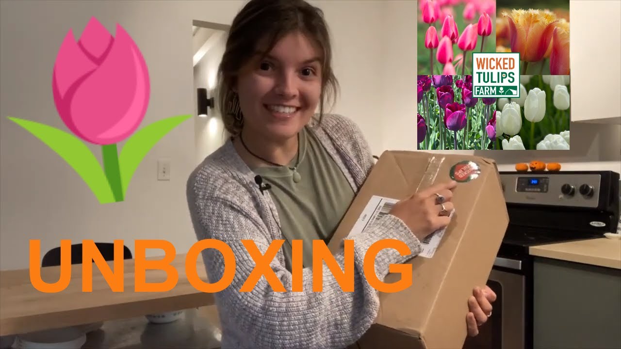 Tulip Bulb Unboxing | Wicked Tulips