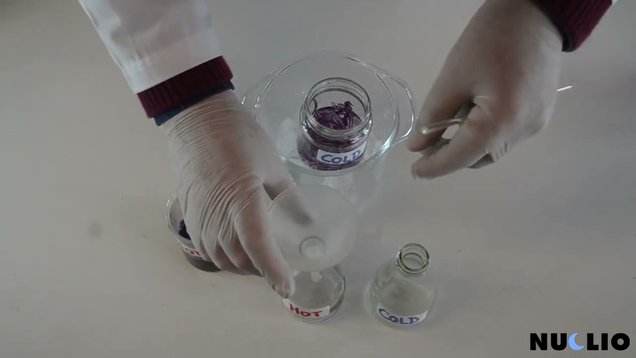 Tie Dye-part 1 - Extraction of Anthocyanins