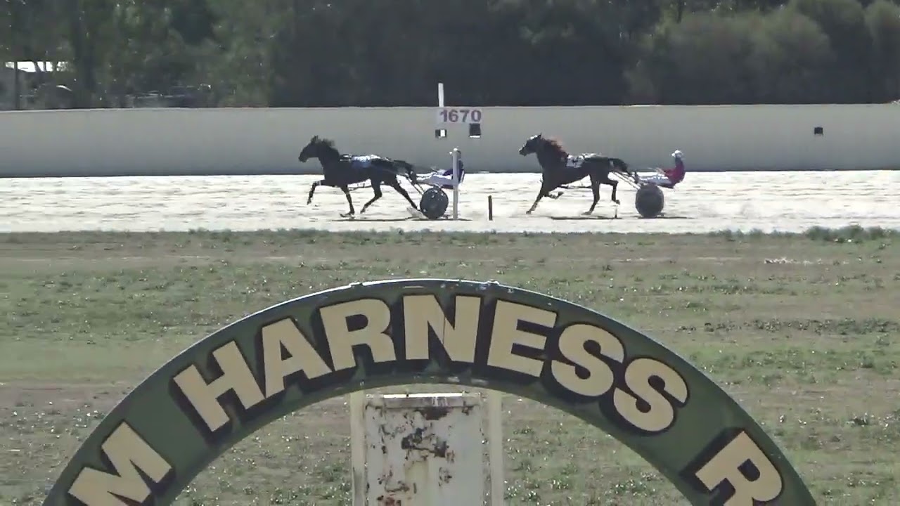 Cobram Harness Racing Trial 2 16042026