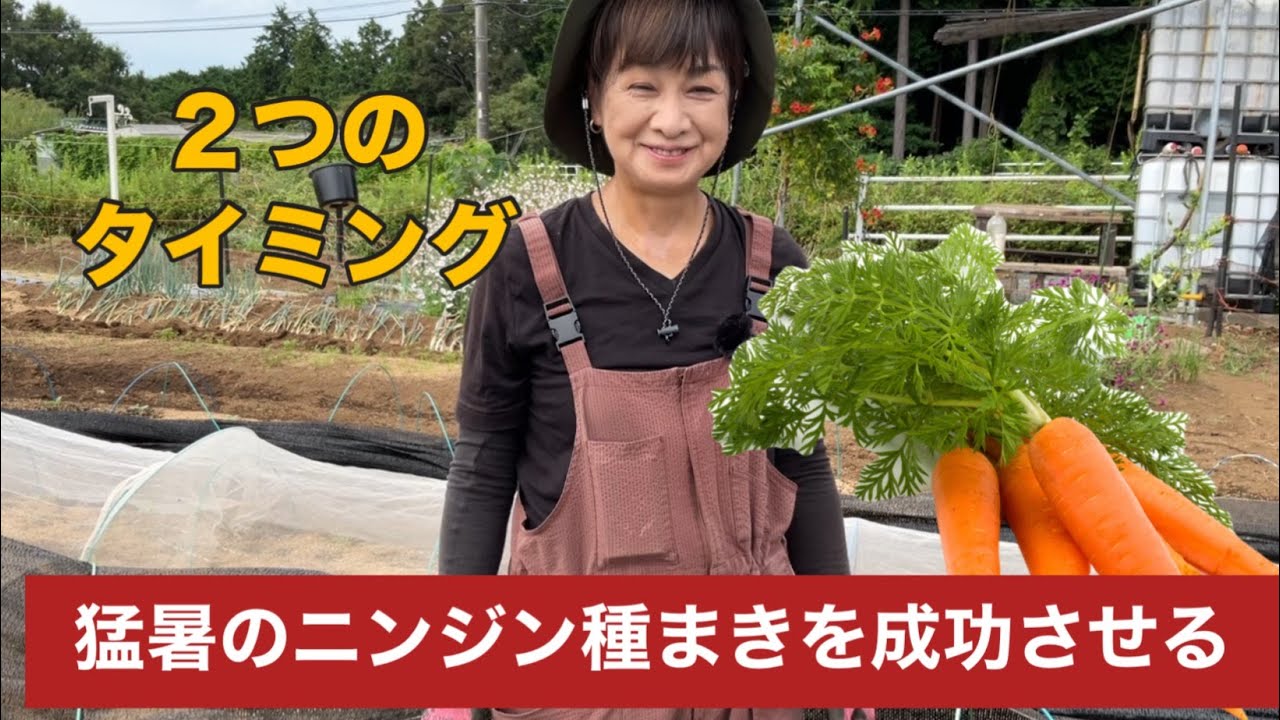 【家庭菜園】今期最後のニンジン種まきを成功させよう