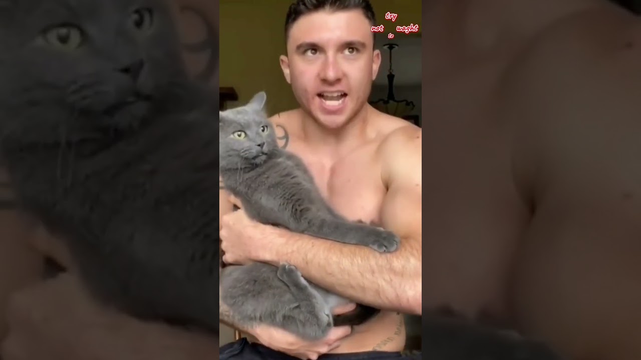You laugh You Lose 😹 Funniest Dogs and Cats 2024 😹❤️😂