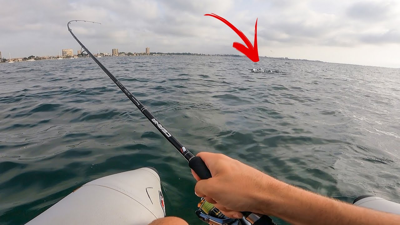 PESCANDO LUBINAS A TOPWATER desde PATO