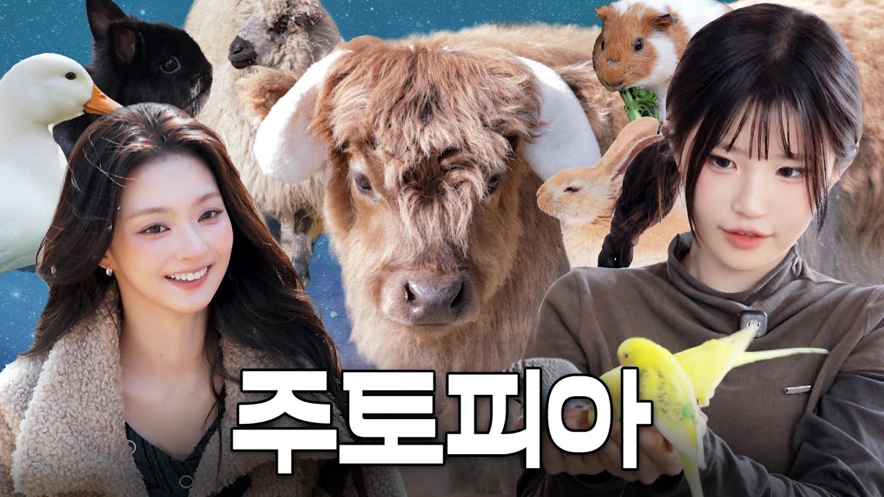 동물에게 둘러싸인 하영 나경을 봐 동물에게 둘러싸였어🐮ㅣ사육사 체험하면서 사심 다 채움