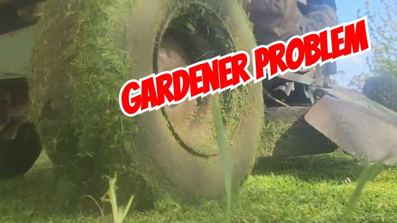 Gardening PROBLEMS Won't STOP This Yard Makeover!