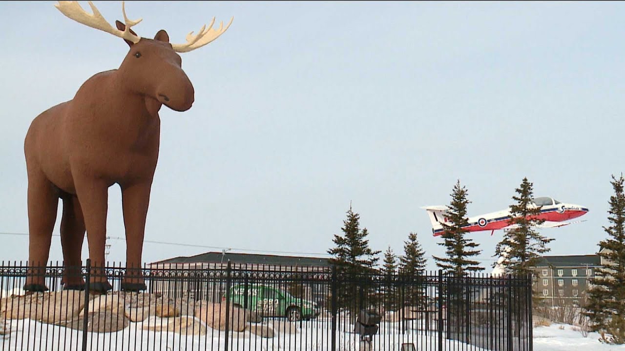 Canada, Norway reach truce over the world's tallest moose