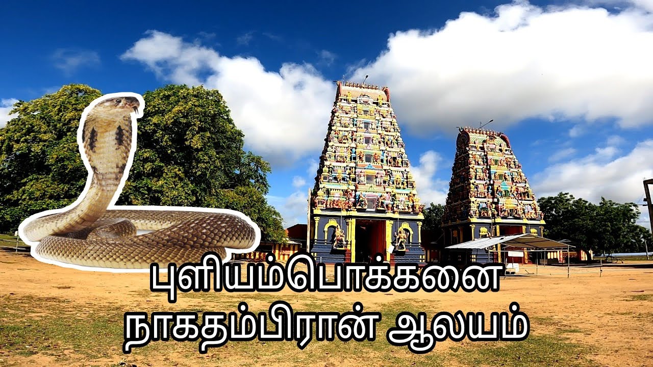புளியம்பொக்கனை நாகதம்பிரான் ஆலயம் | Puliyampokkanai nagathampiran temple