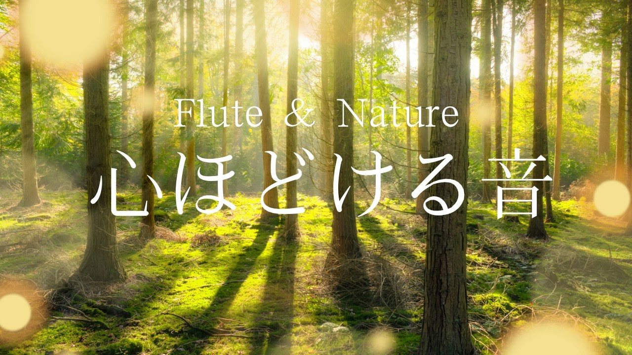 【作業用BGM】癒しのフルートと川の音｜1時間 | Relaxing Flute & River Sounds