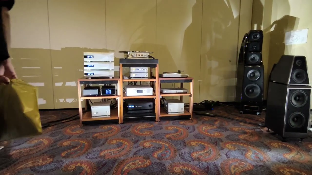 Wilson Audio Watt/Puppy - Nagra classic pre /power amp