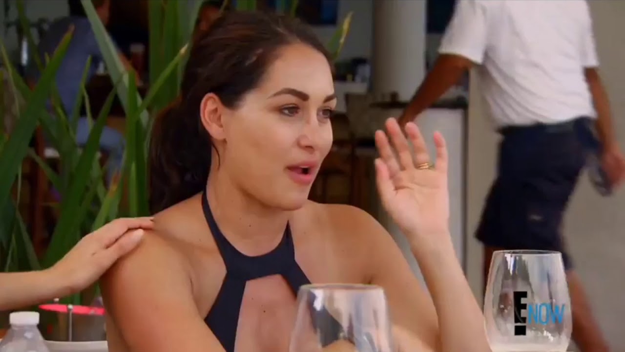 Total Divas-Brie Misses Birdie and Bryan