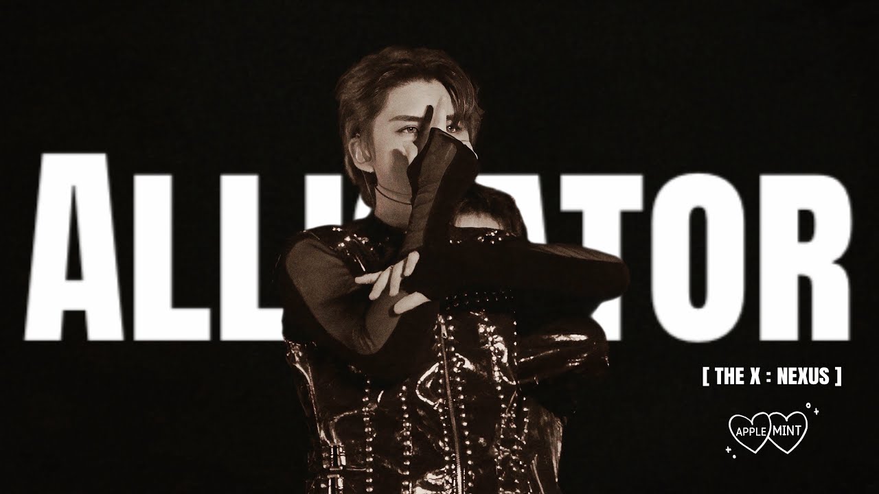 [4K] Alligator 기현 focus THE X : NEXUS