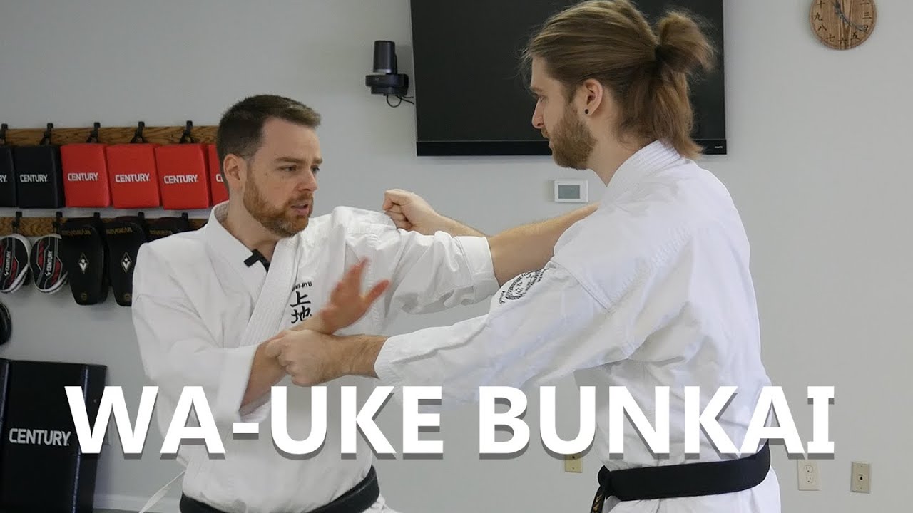 Uechi-Ryu Bunkai Drill: Wa-Uke & Kata Opening