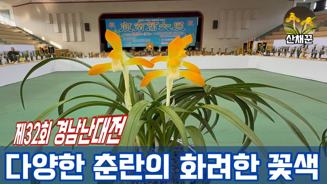 다양하고 화려한 꽃색으로 물들인 2026년 제32회 경남난대전