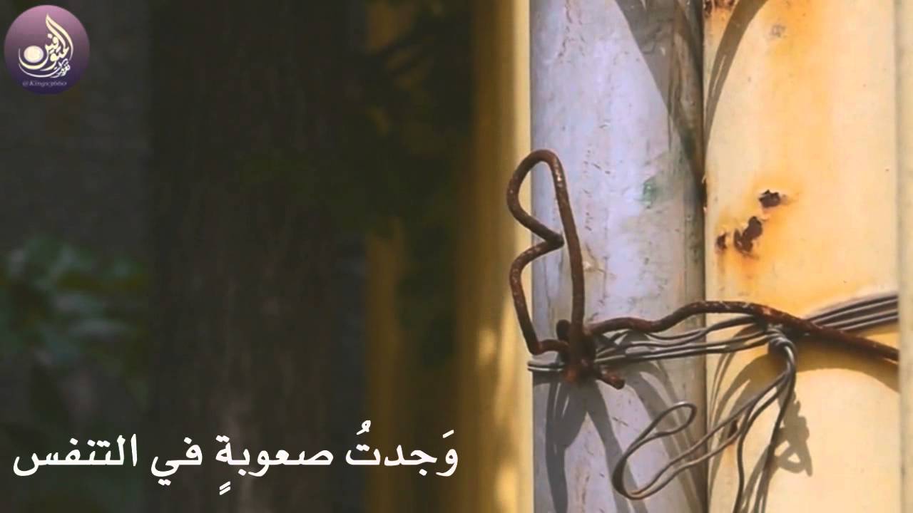 #قصة_فتاة ..مونتاج تغريدات المتوفين .