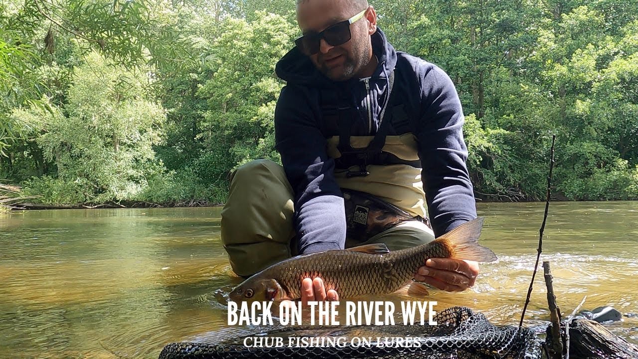 Back on the River Wye - Chub fishing on lures