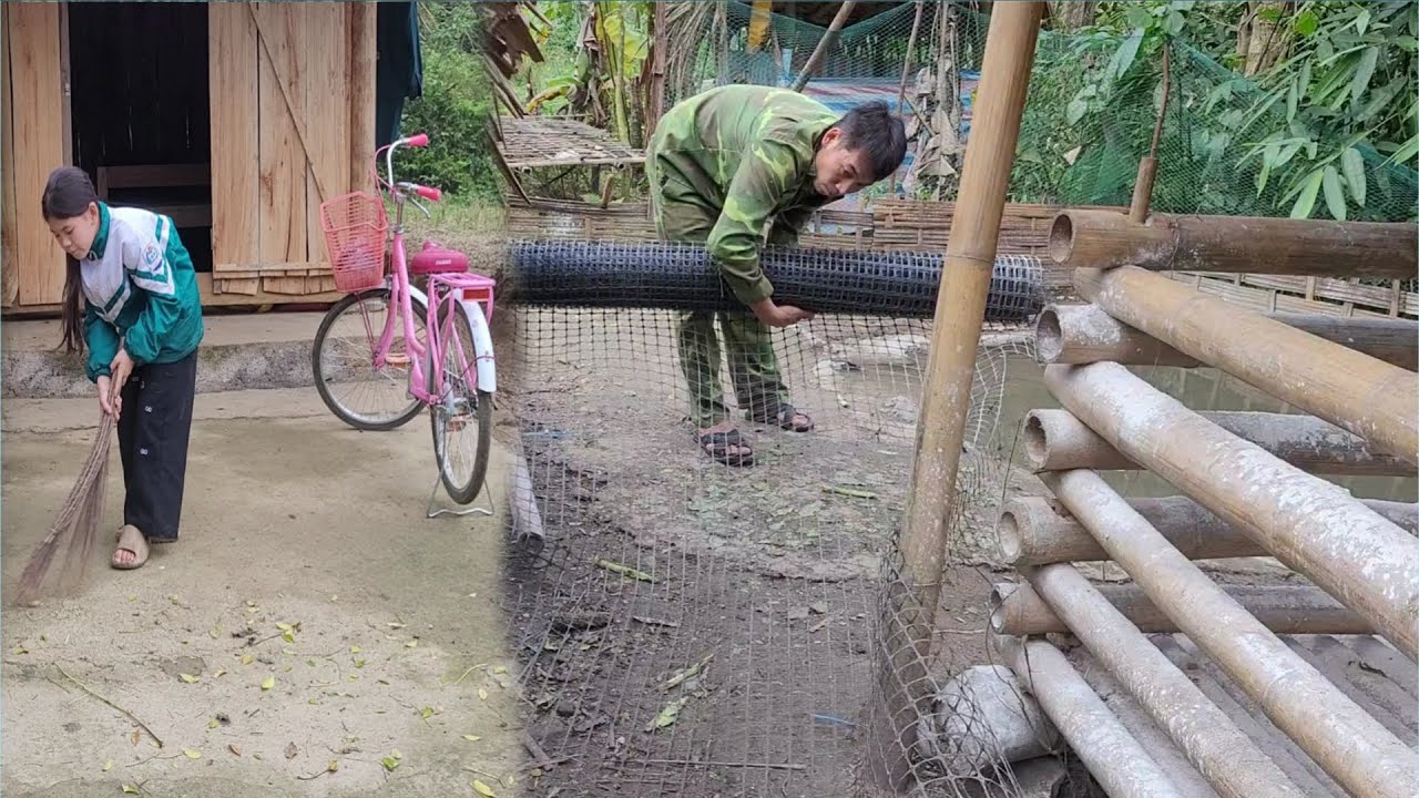 My uncle went into the forest to cut bamboo to make a fence and clear the field.