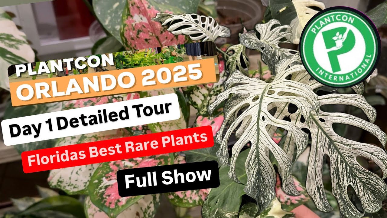 Plant Con 2025 Orlando Florida Full Show Rare Plants Variegated Plants Costa Farms Day 1 Recap