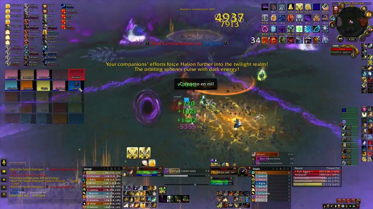 RS25 HC - Retri Pala POV - Burst Dragon - Warmane/Lordaeron 0% Buff