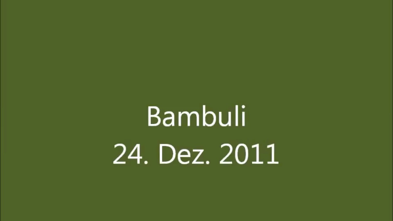 13. K&ouml;nigspudel Bambulis 1. Christmas