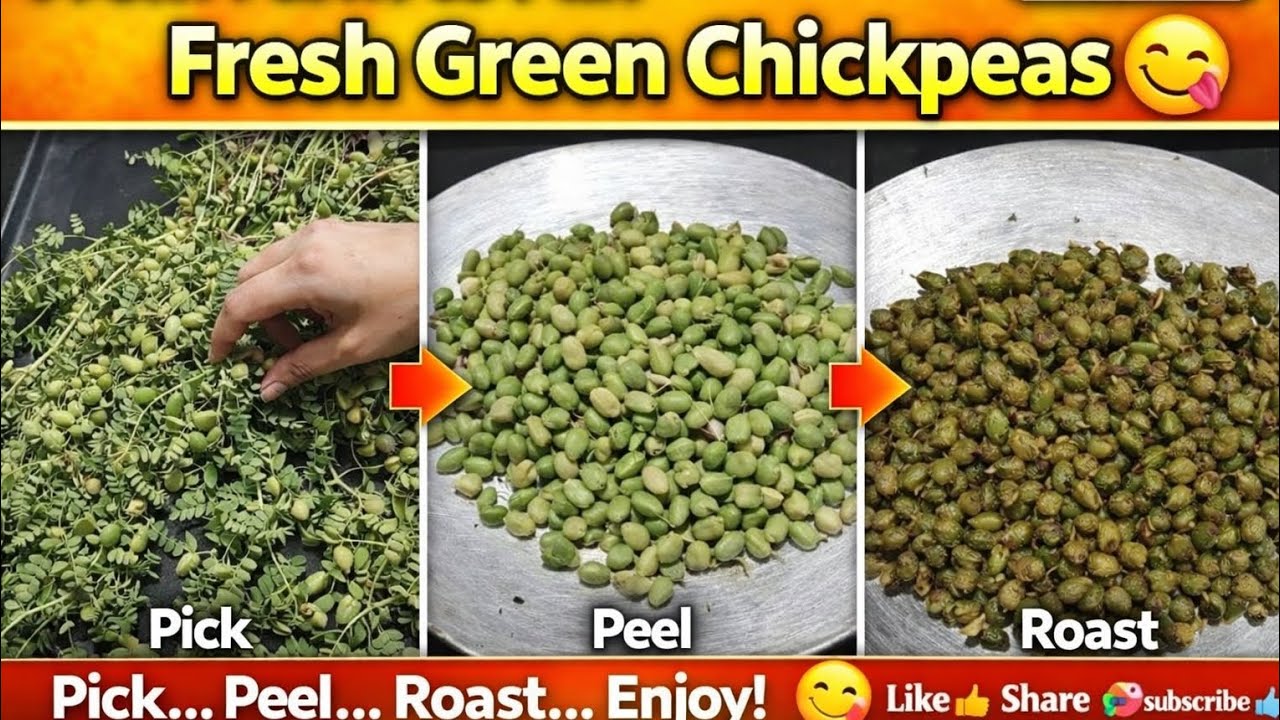 ताजा हिरवा हरभरा 😋 | शेतातून थेट कढईत#हिरवाहरभरा#harbara#greenchana#villagefood#desifood#farmfresh😋🔥