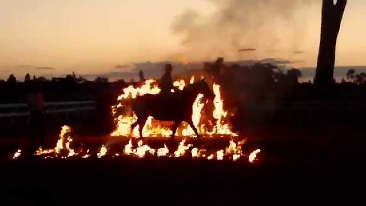 Horses walk through fire for Herald Sun photo shoot
