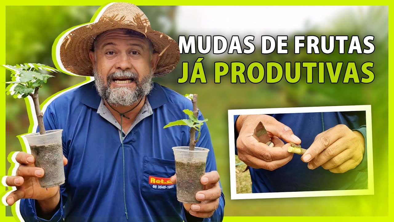 Mudas de FRUTAS  r&aacute;pido e f&aacute;cil j&aacute; PRODUZINDO