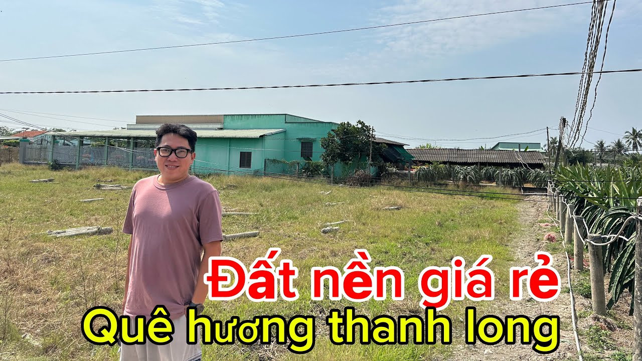 Châu Thành- đất nền 10m#27m đường đan- full thổ tại Phú Ngãi Trị ( Long An)