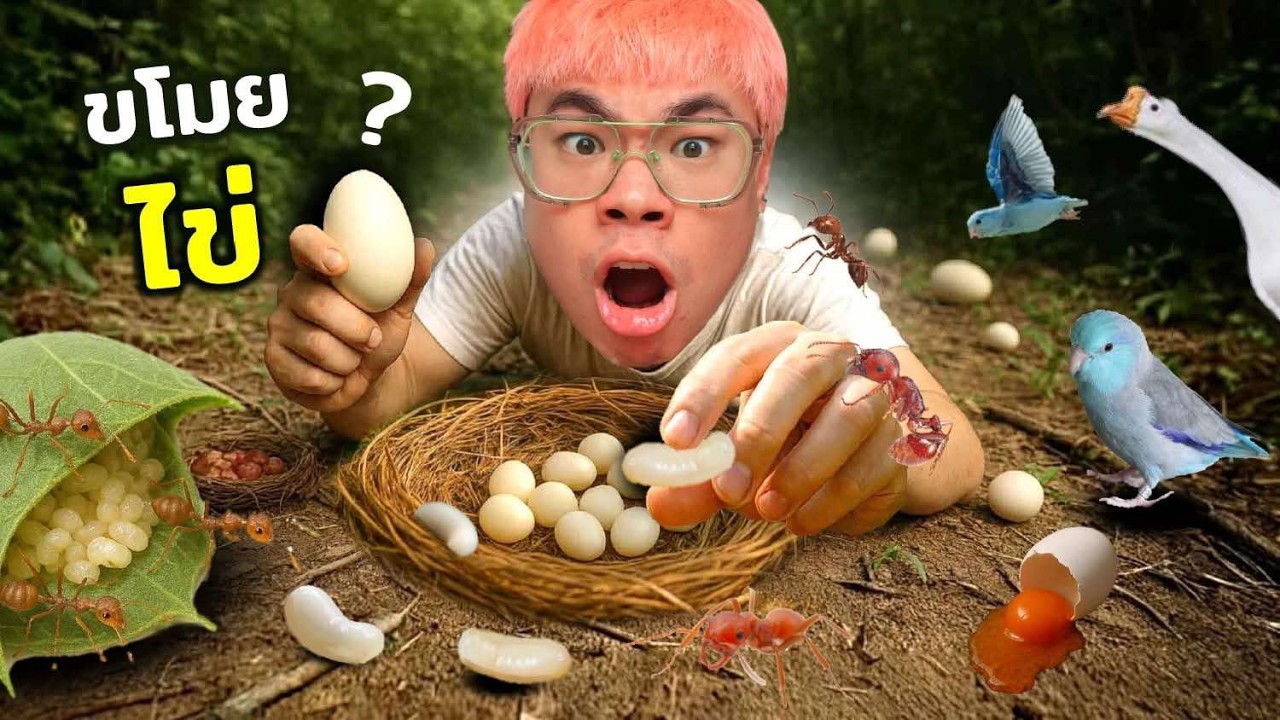 ตามหา 