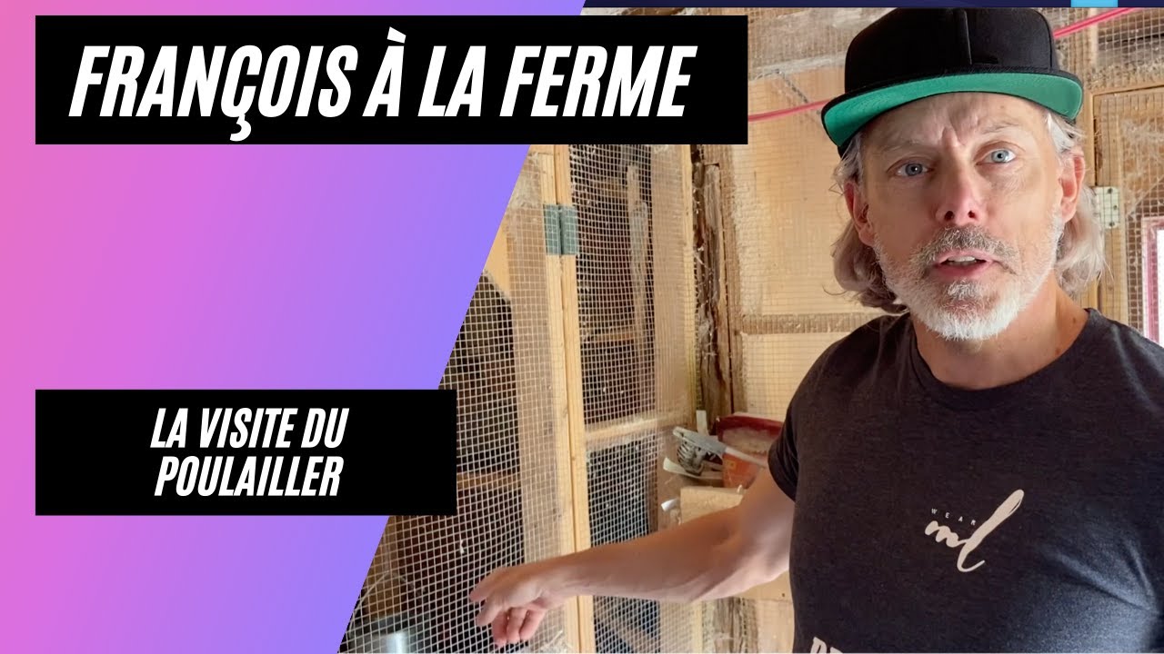 🐔🌿 La cueillette des œufs frais et discussion sur l'agriculture responsable 🥚🌱