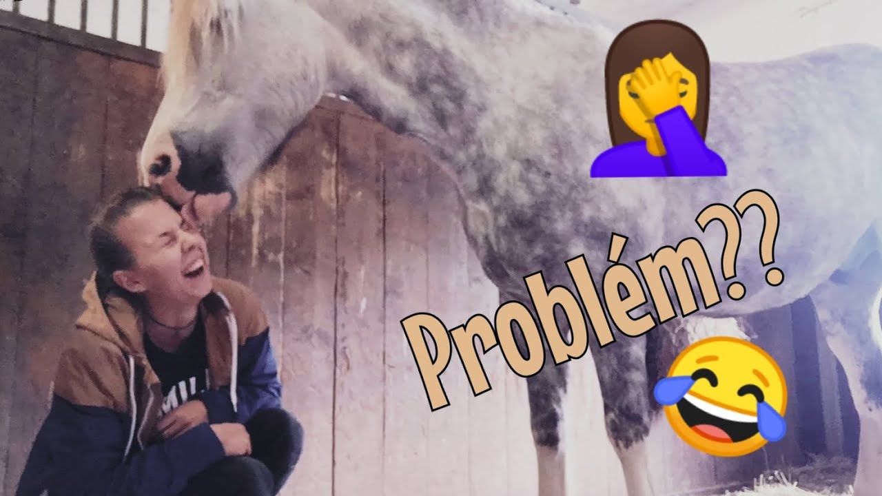 Největší problémy mazlíčkářů