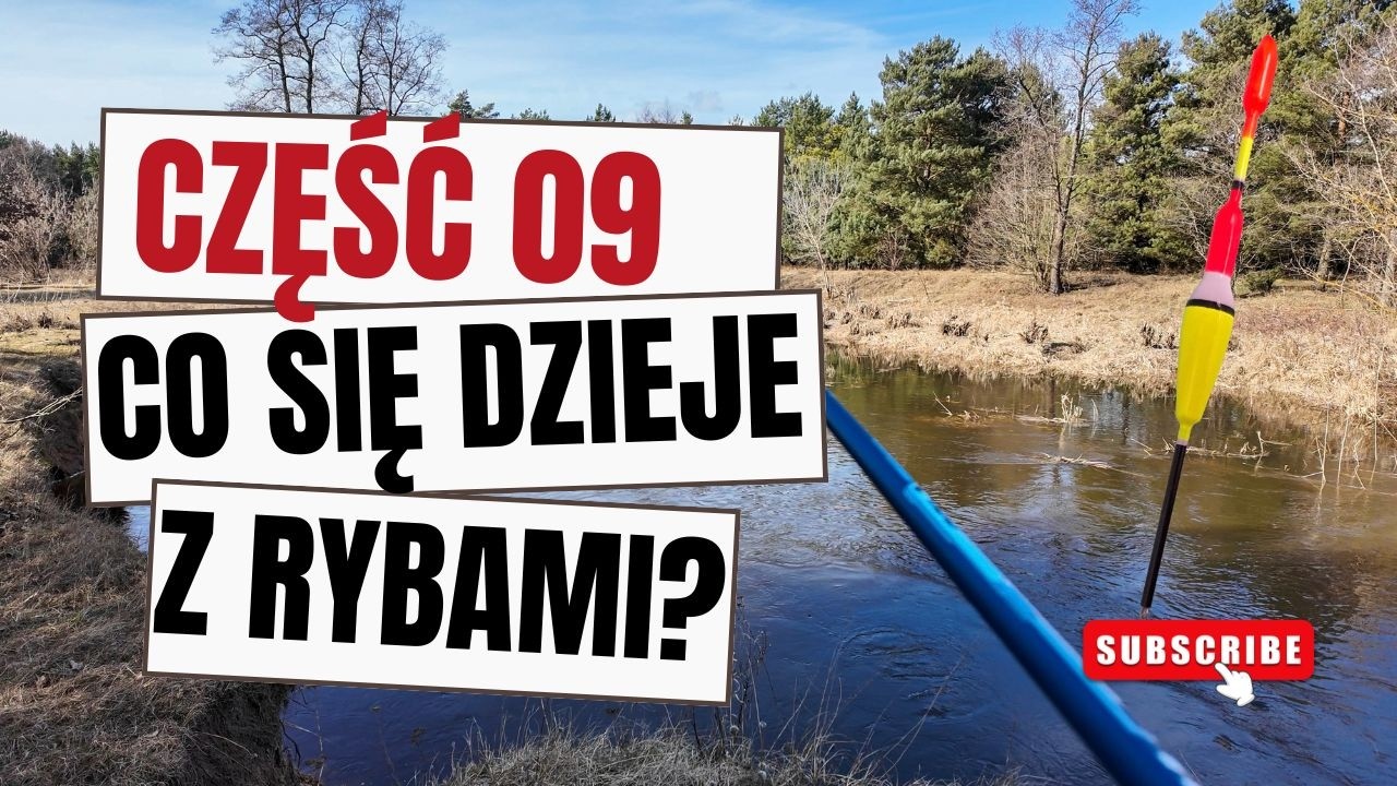 😮 Dlaczego Ryby Nie Biorą? Wędkowanie na Spławik na Początku Marca