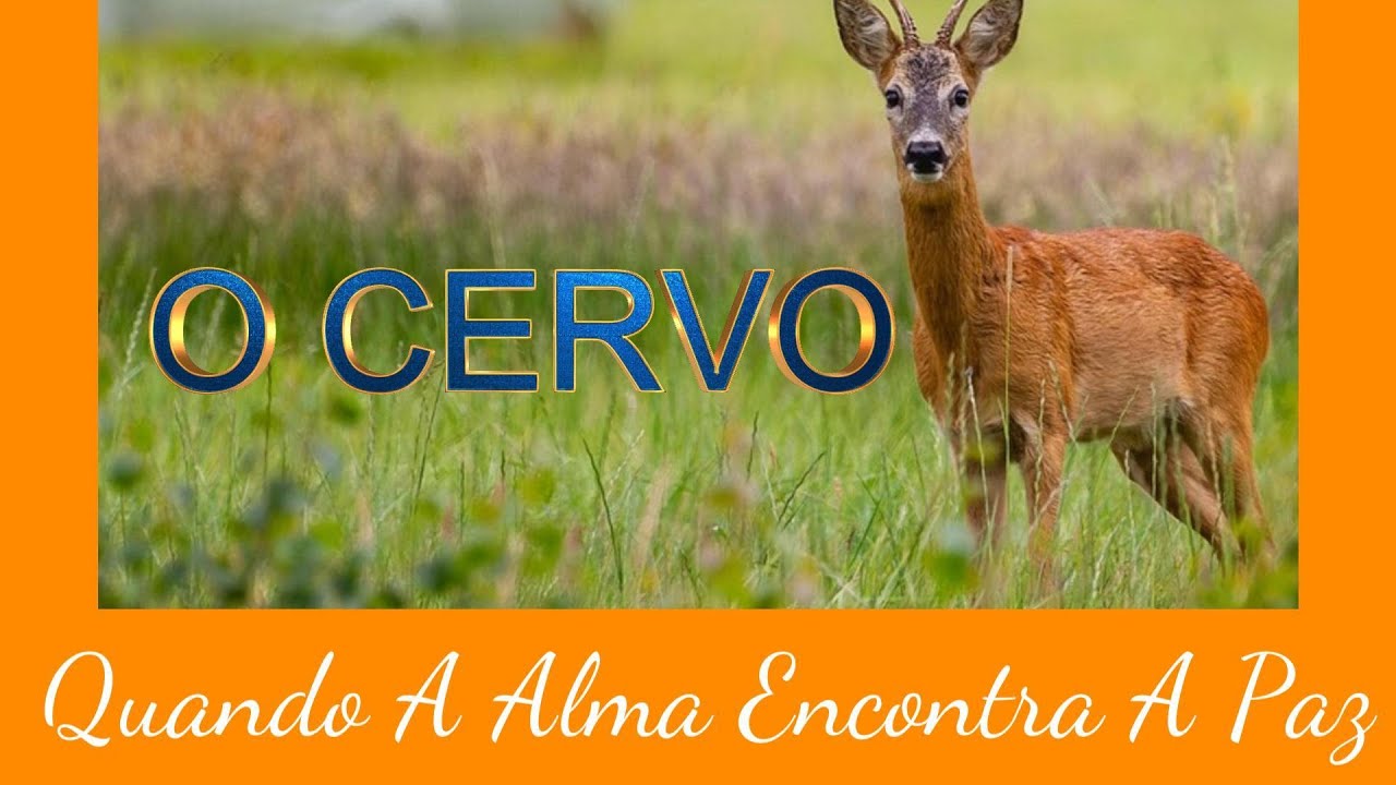 QUANDO A ALMA ENCONTRA A PAZ #consciênciacyanvianai