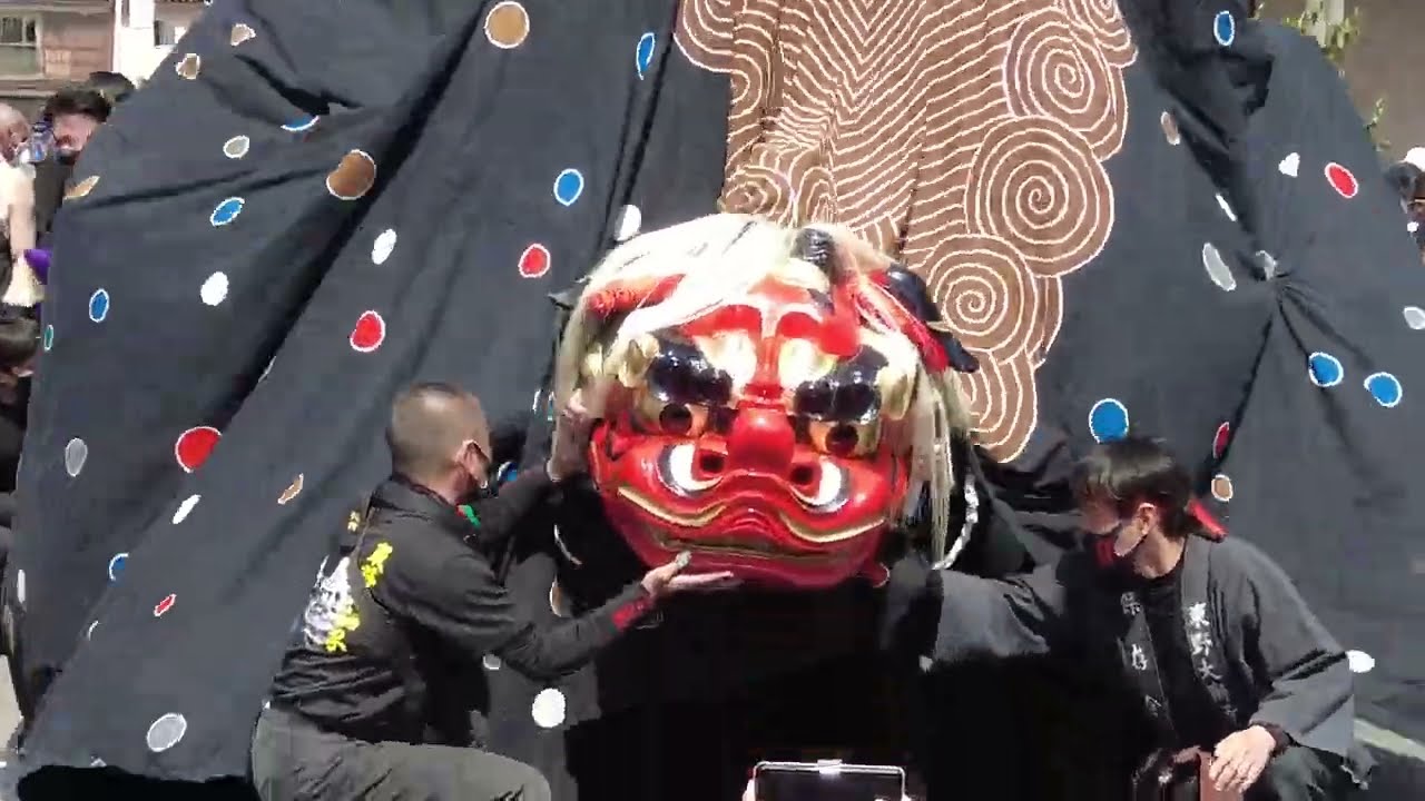 令和４年 2022年 お練りまつり 東野大獅子 日本最大の屋台獅子 lion dance