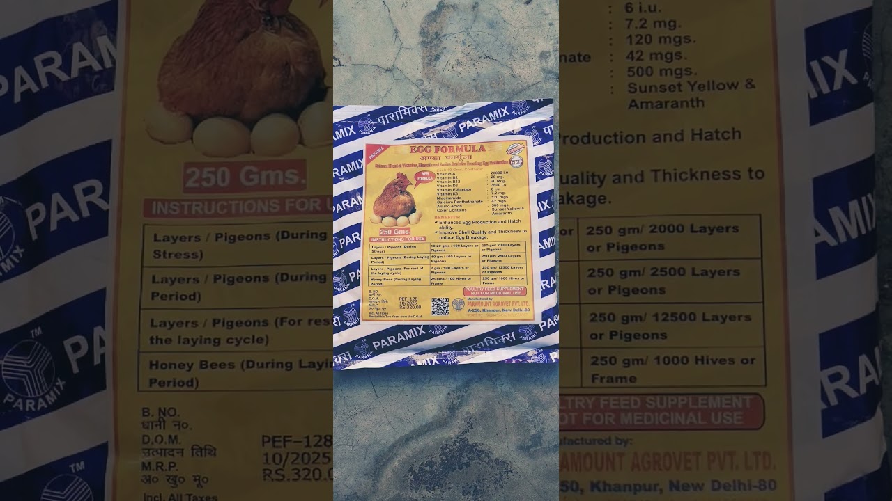 Pigeon Breeding Medicine / Egg formula for pigeon #akjhansipigeons #akash