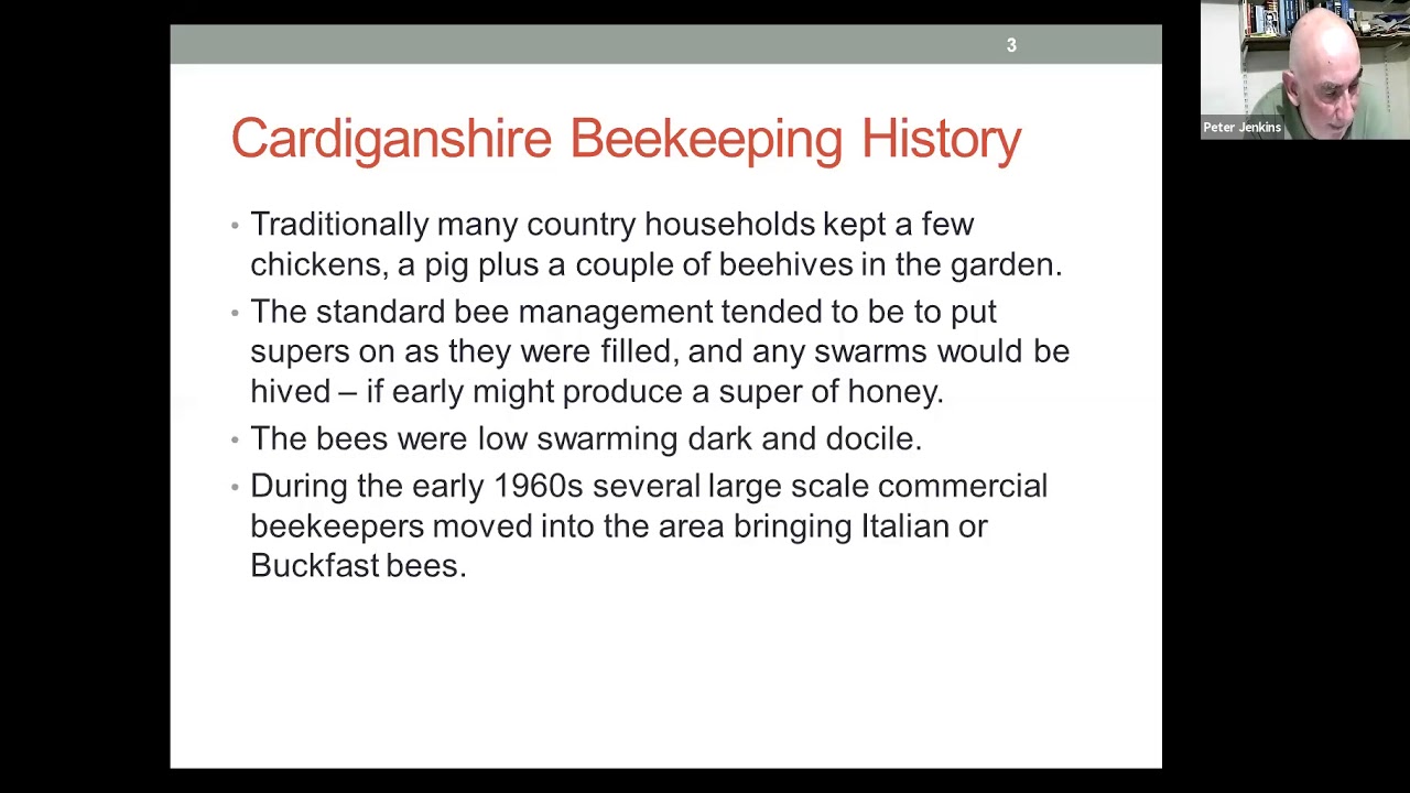 BIBBA Webinar   My 50 Years Experience of Imported Bees Affecting Local Stock
