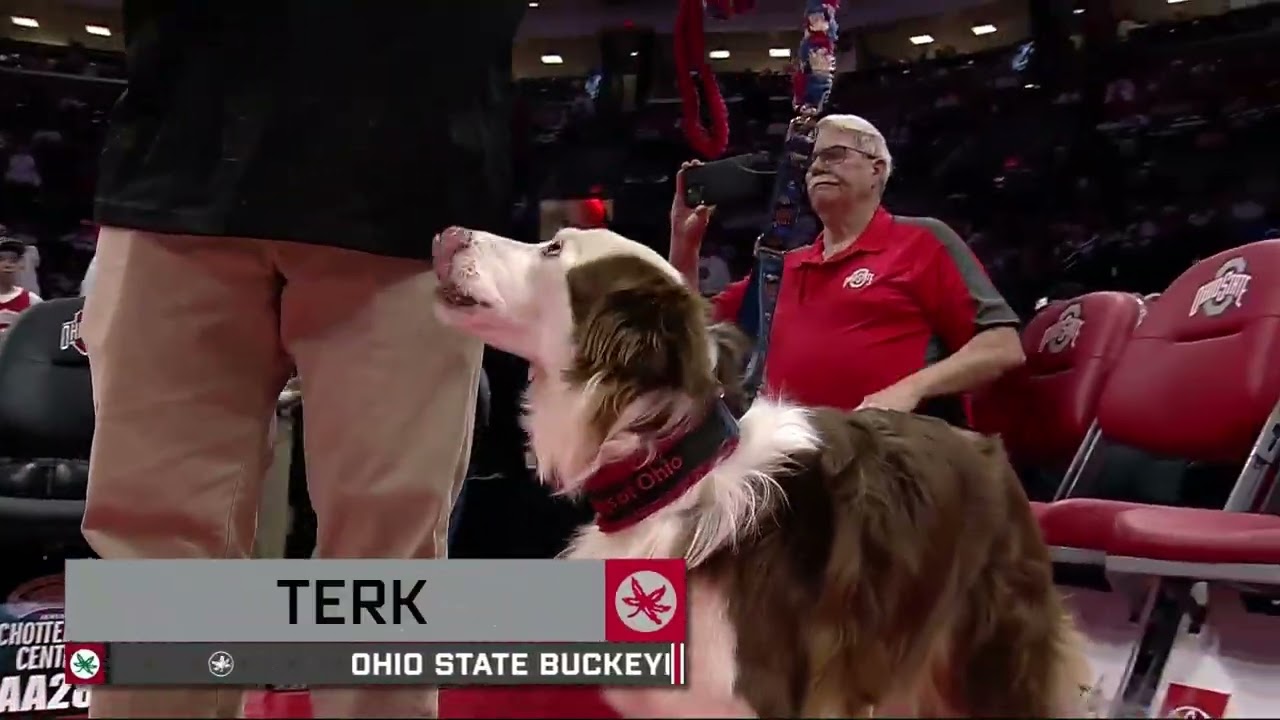 Performance Dogs of Ohio Halftime show - Ohio State Men's Basketball vs Purdue on 3/2/26