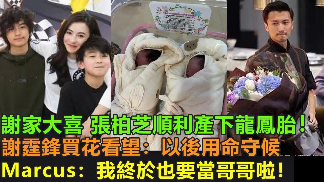 謝家大喜，張柏芝順利產下龍鳳胎！謝霆鋒買花看望：老婆辛苦了，以後用命守護！Marcus：我終於也要當哥哥啦！