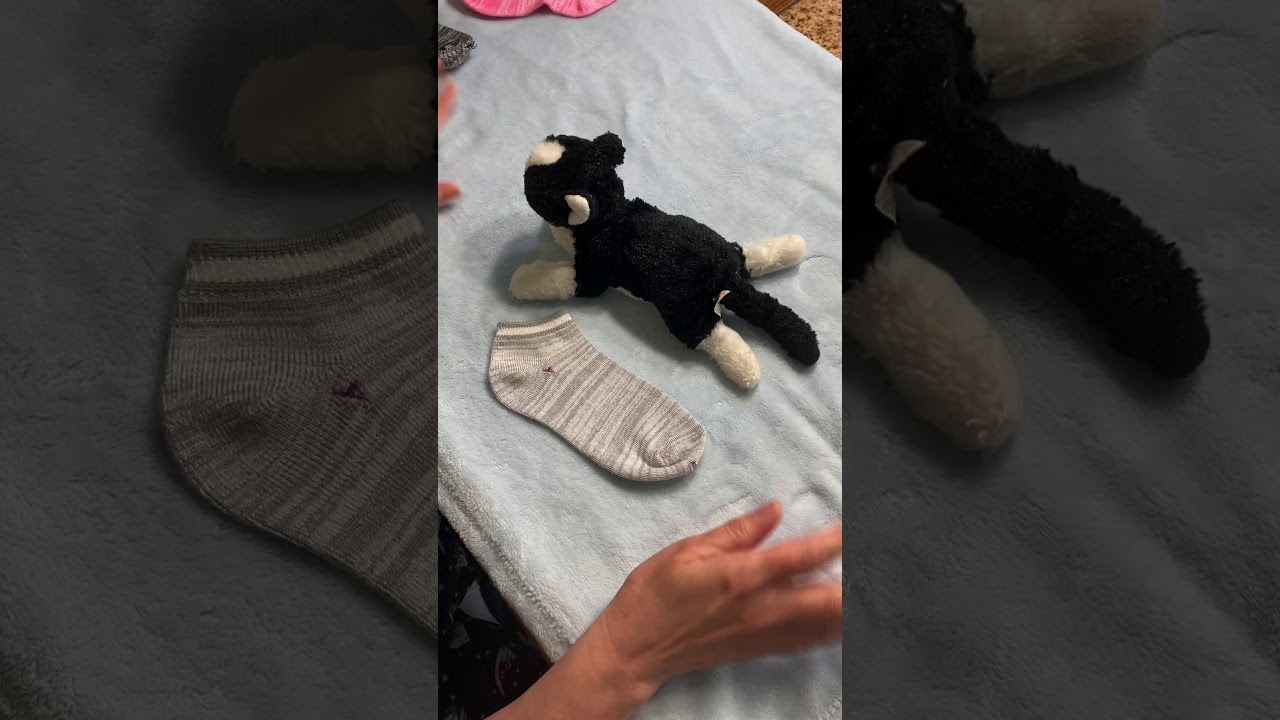 Kittens in protective sock onesies