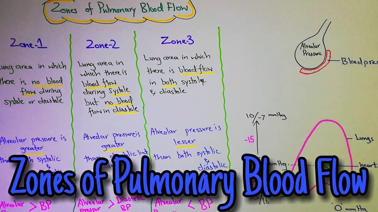 Zones of pulmonary blood flow. Chapter 39 (part 4). Guyton and hall text book of physiology.