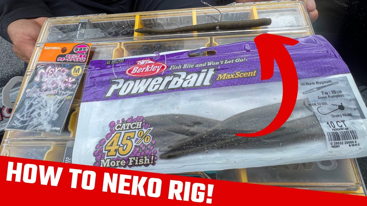 How To Neko Rig! (Secret HACK)